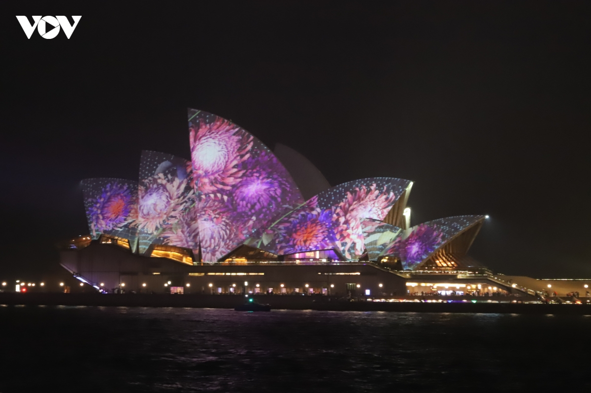 Khai mạc Lễ hội ánh sáng Vivid Sydney 2026